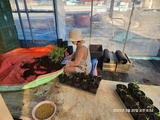 고흥아이베리팜님의 기타작물 · 영농일지 작성글 사진