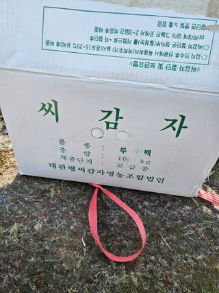 정일선님의 기타작물 · 영농일지 작성글 사진