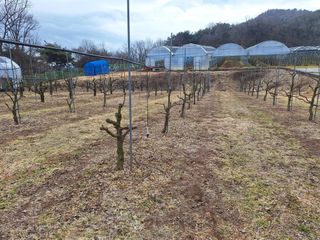 창열님의 기타작물 · 영농일지 작성글 사진