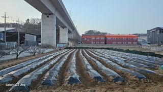 임일재님의 기타작물 · 영농일지 작성글 사진