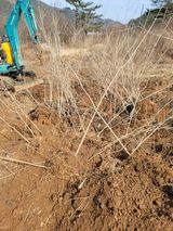 팜모닝 기타작물·영농일지 게시글 이미지