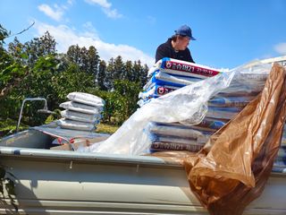 새달귤농장님의 귤 · 영농일지 작성글 사진