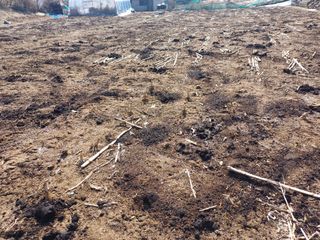 인산님의 기타작물 · 영농일지 작성글 사진