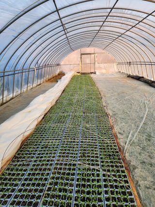 김정기 님의 기타작물 · 영농일지 작성글 사진