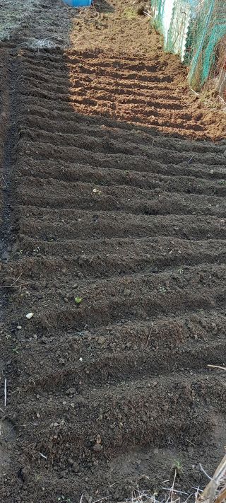 고병길님의 기타작물 · 영농일지 작성글 사진