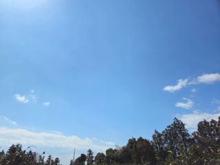 새달귤농장님의 귤 · 영농일지 작성글 사진