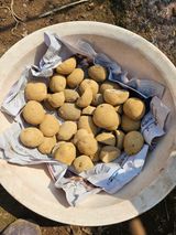 팜모닝 기타작물·영농일지 게시글 이미지