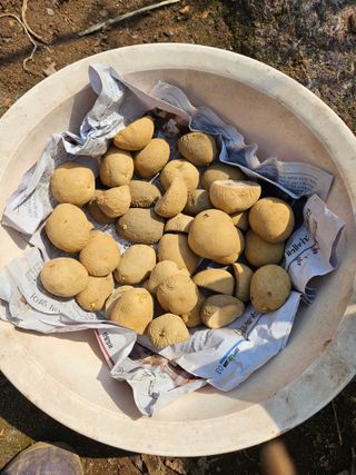 정일선님의 기타작물 · 영농일지 작성글 사진