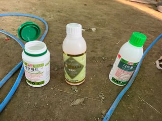 서영광님의 기타작물 · 영농일지 작성글 사진