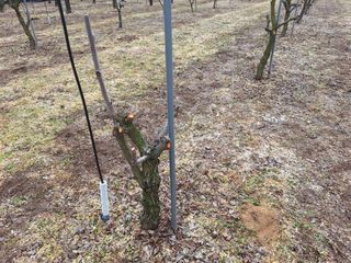 창열님의 기타작물 · 영농일지 작성글 사진