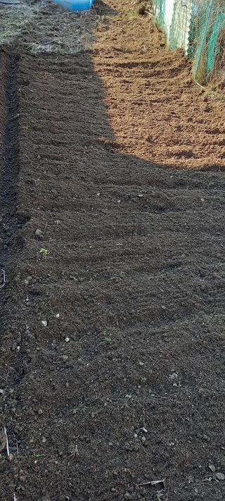 고병길님의 기타작물 · 영농일지 작성글 사진