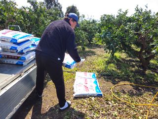 새달귤농장님의 귤 · 영농일지 작성글 사진