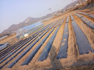 백영호님의 기타작물 · 영농일지 작성글 사진