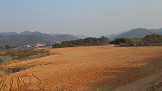 햇살처럼영농조합님의 기타작물 · 영농일지 작성글 사진