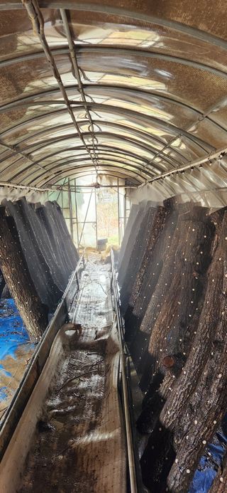 최군환님의 기타작물 · 영농일지 작성글 사진