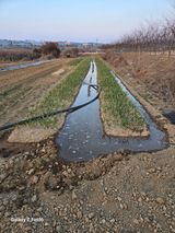 팜모닝 기타작물·영농일지 게시글 이미지