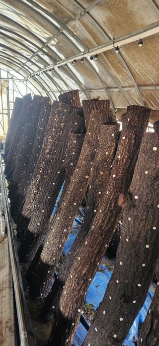 최군환님의 기타작물 · 영농일지 작성글 사진