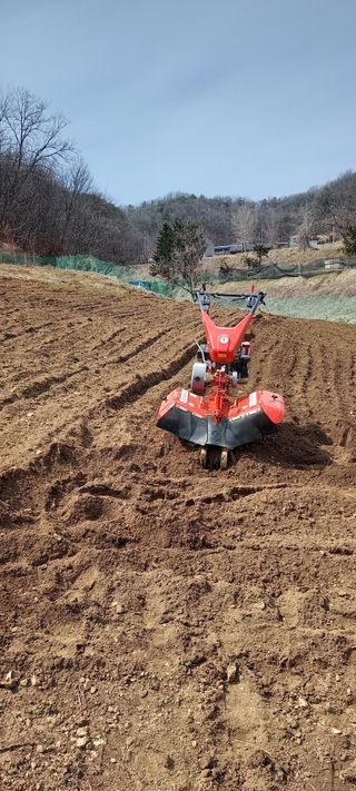 고병길님의 기타작물 · 영농일지 작성글 사진