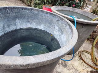 새달귤농장님의 귤 · 영농일지 작성글 사진