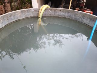 새달귤농장님의 귤 · 영농일지 작성글 사진