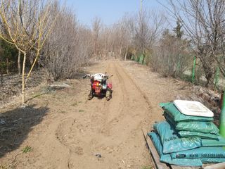 송완춘님의 기타작물 · 영농일지 작성글 사진