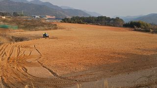 햇살처럼영농조합님의 기타작물 · 영농일지 작성글 사진