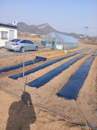 백영호님의 기타작물 · 영농일지 작성글 사진