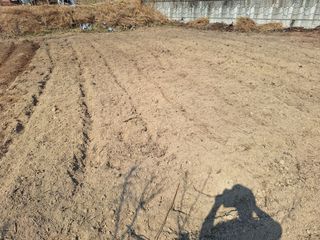 한정술님의 들깨 · 영농일지 작성글 사진