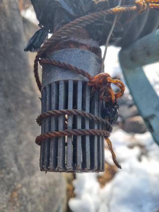 김용대님의 기타작물 · 영농일지 작성글 사진