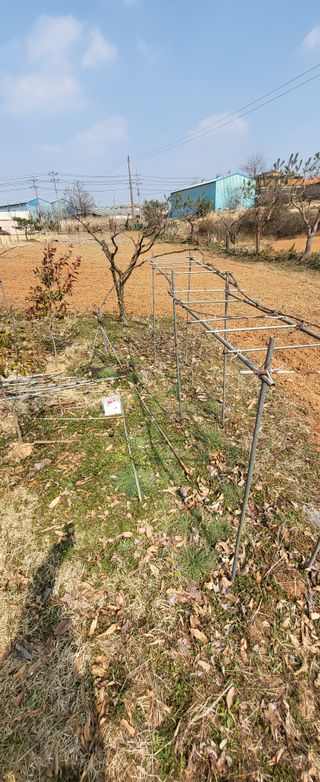 님의 기타작물 · 영농일지 작성글 사진