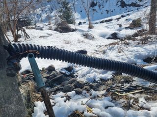 김용대님의 기타작물 · 영농일지 작성글 사진