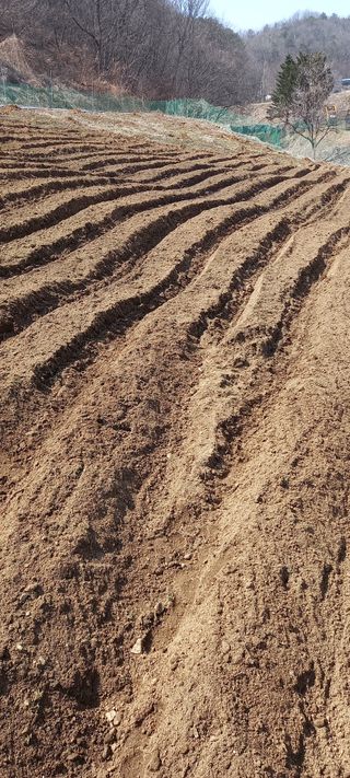 고병길님의 기타작물 · 영농일지 작성글 사진