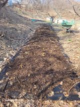 팜모닝 기타작물·영농일지 게시글 이미지