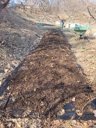 박위병님의 기타작물 · 영농일지 작성글 사진