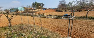 님의 기타작물 · 영농일지 작성글 사진