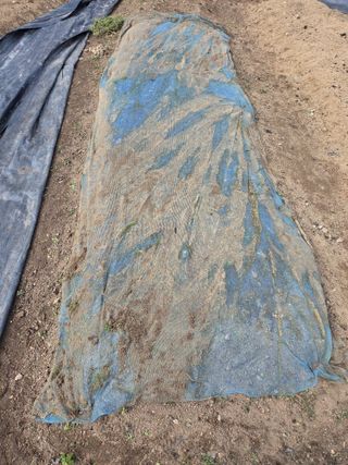 정찬길 님의 기타작물 · 영농일지 작성글 사진