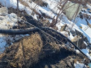 김용대님의 기타작물 · 영농일지 작성글 사진