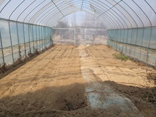 송완춘님의 기타작물 · 영농일지 작성글 사진