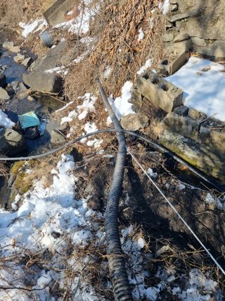 김용대님의 기타작물 · 영농일지 작성글 사진