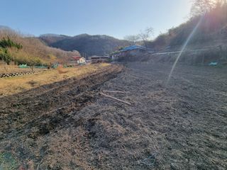 새싹님의 기타작물 · 영농일지 작성글 사진