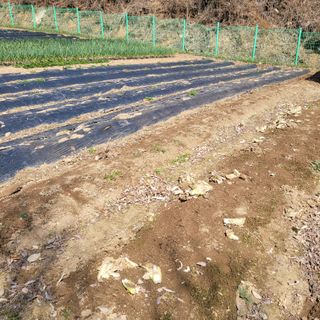 이창화님의 기타작물 · 영농일지 작성글 사진