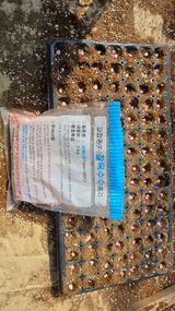 팜모닝 옥수수·영농일지 게시글 이미지