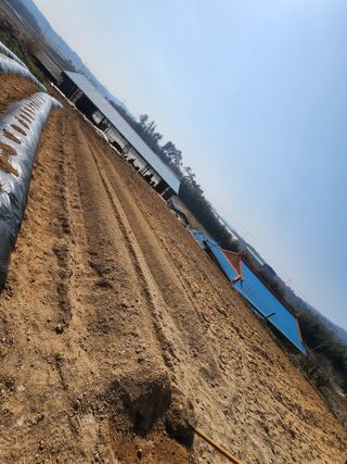 황미순님의 기타작물 · 영농일지 작성글 사진