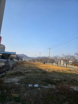 팜모닝 기타작물·영농일지 게시글 이미지