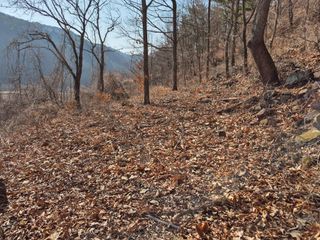 정진필님의 기타작물 · 영농일지 작성글 사진