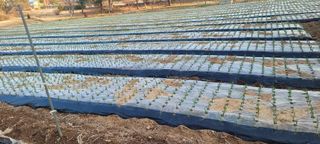 김정은님의 기타작물 · 영농일지 작성글 사진