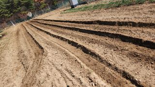 이상보님의 기타작물 · 영농일지 작성글 사진