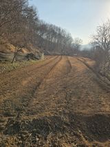 팜모닝 기타작물·영농일지 게시글 이미지