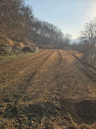 김진환님의 기타작물 · 영농일지 작성글 사진