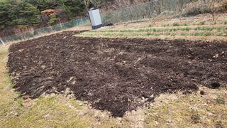 이상보님의 기타작물 · 영농일지 작성글 사진